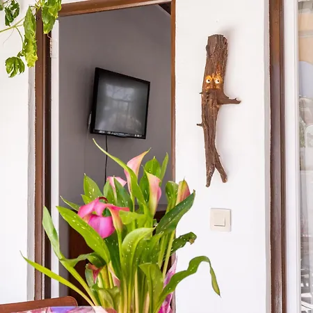 Entre Mar Y Montana Privat bolig Calpe
